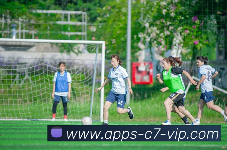 App Interface Preview