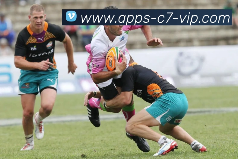 C7娱乐APP 封面图